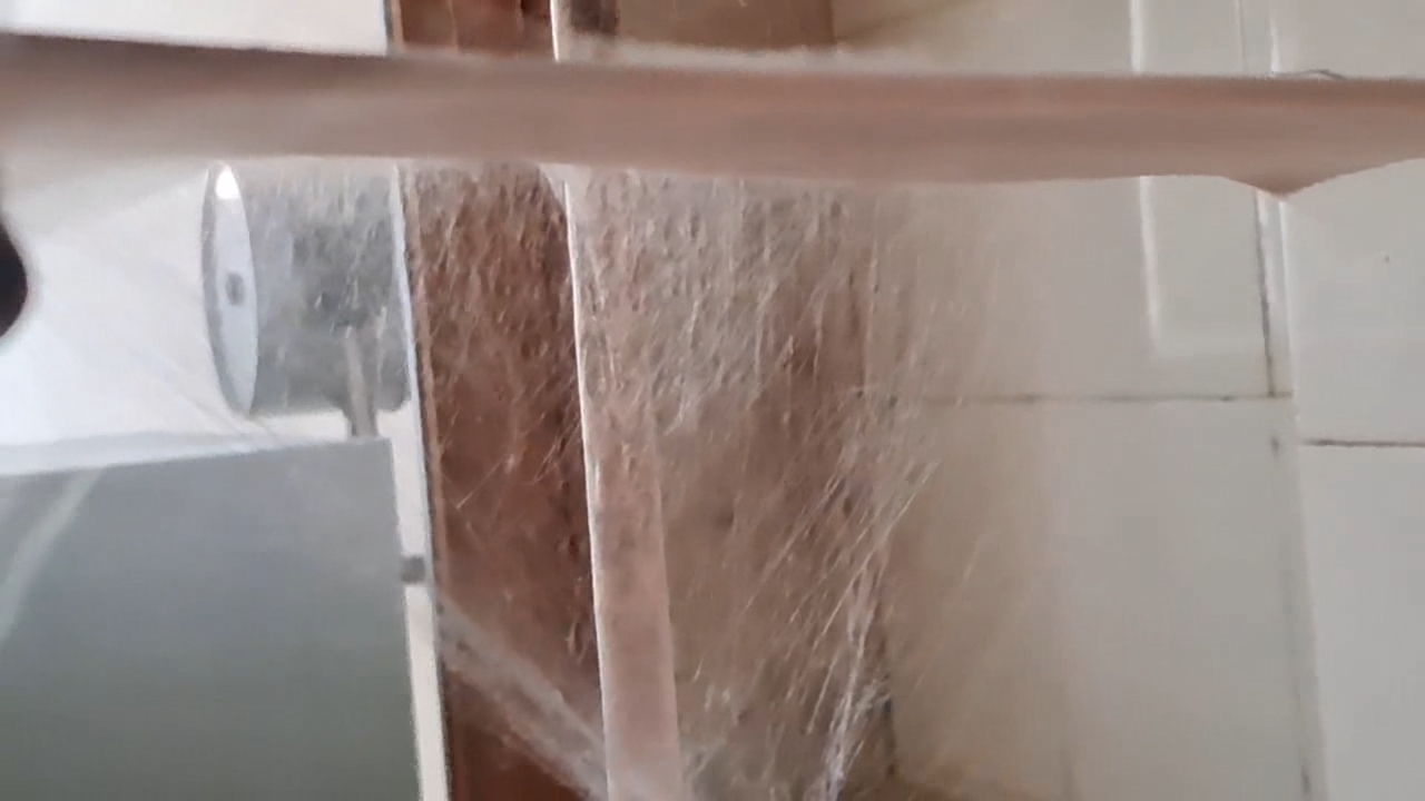 Electrospinning: Solution of Polystyrene in Methylene Chloride